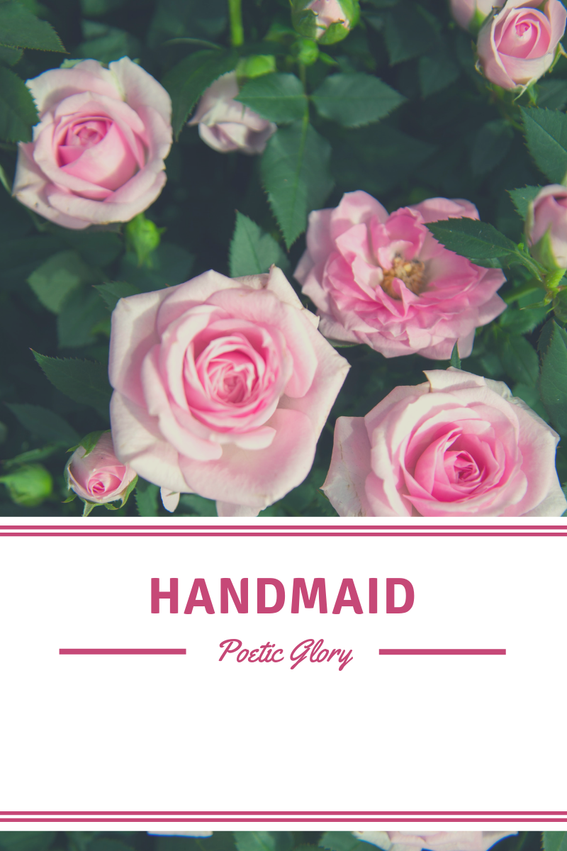 Handmaid.png